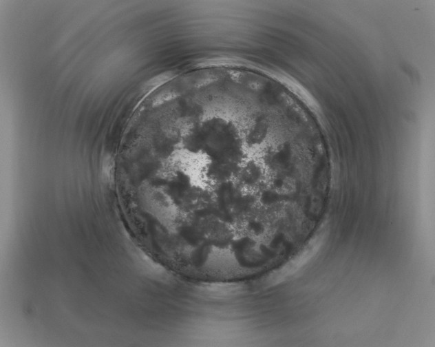 X0000113980953200910161619