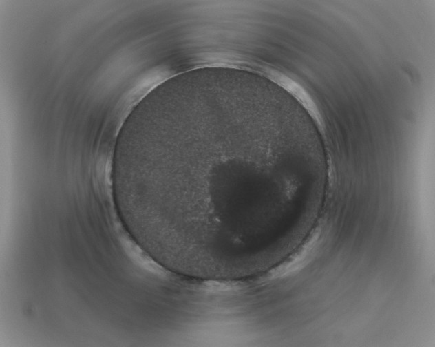 X0000113980954200910161619