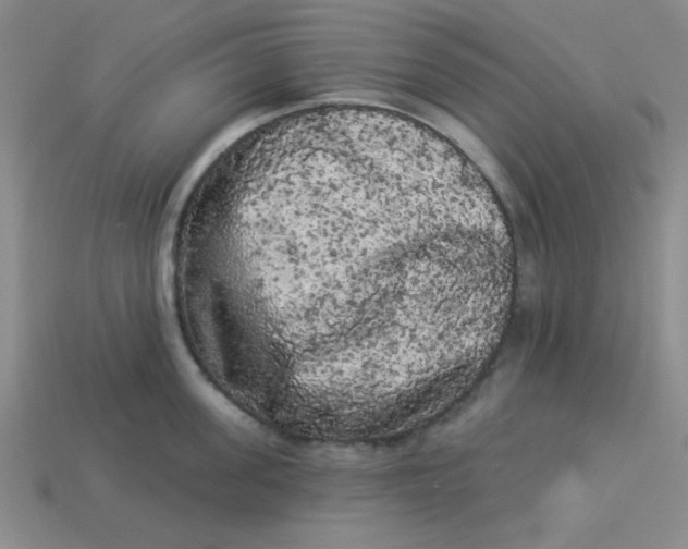 X0000113980955200910161619