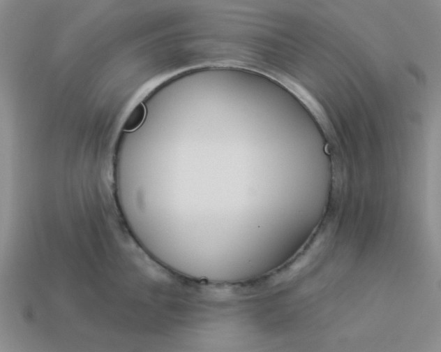 X0000113980956200910161619