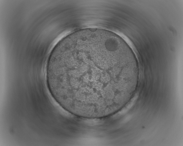 X0000113980957200910161620