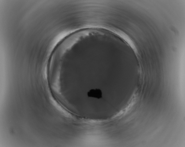 X0000113980958200910161620