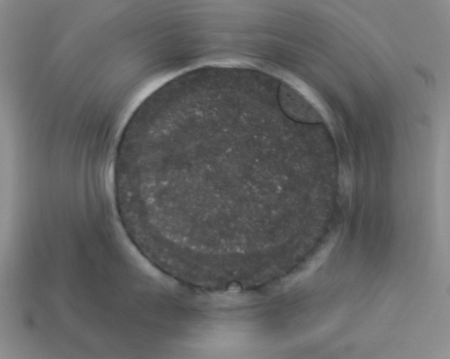 X0000113980959200910161620