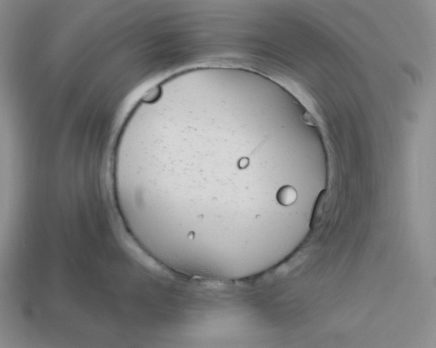 X0000113980960200910161620