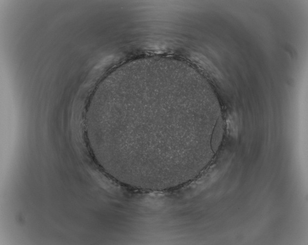 X0000113980961200910161619