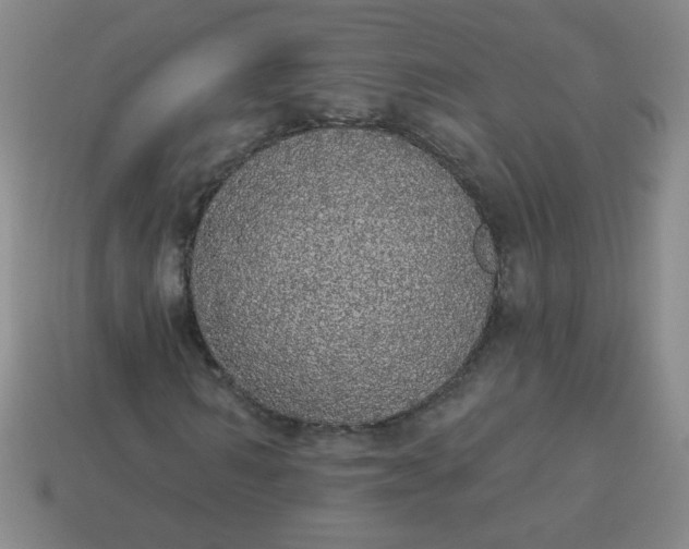 X0000113980962200910161619