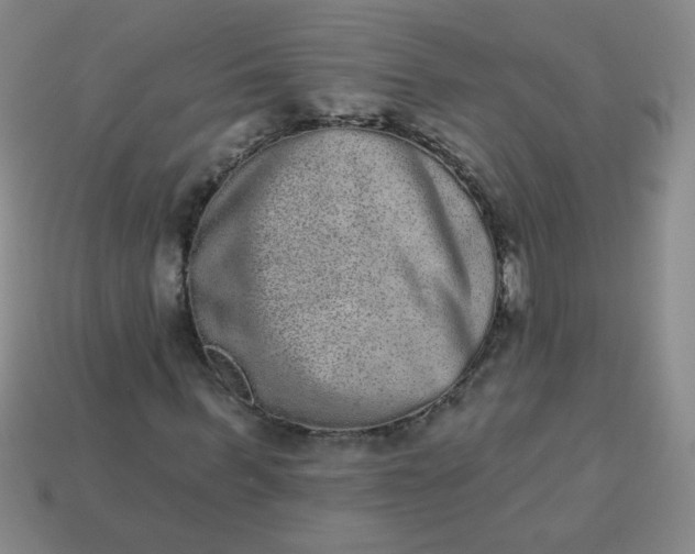 X0000113980963200910161619