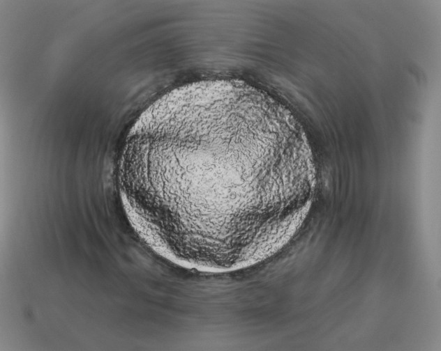 X0000113980964200910161619