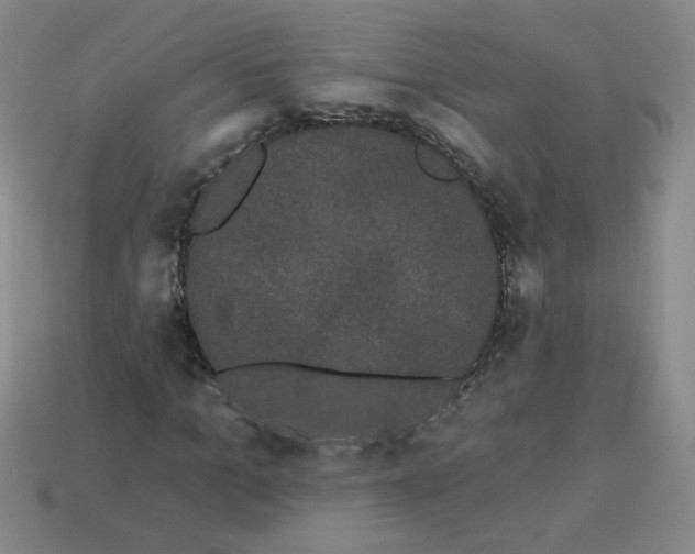 X0000113980965200910161619