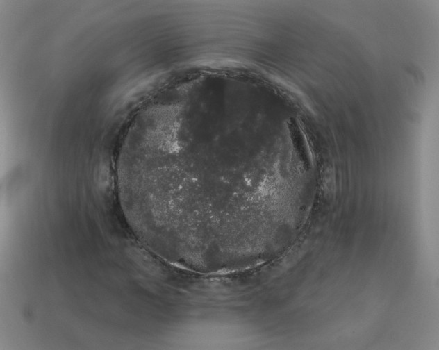 X0000113980966200910161619