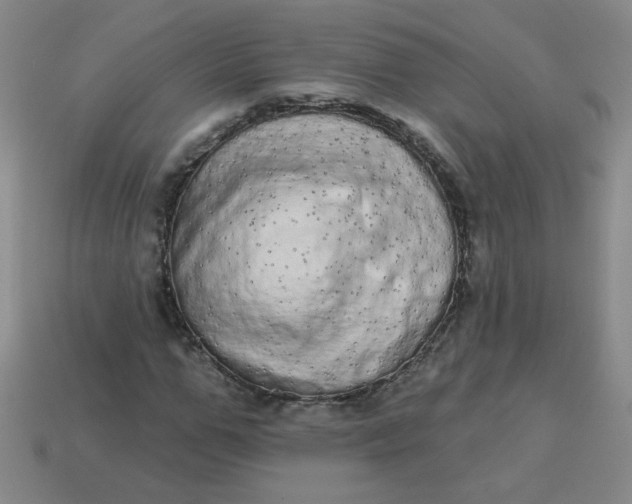 X0000113980967200910161619