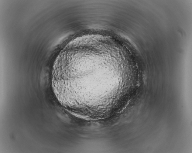 X0000113980968200910161619