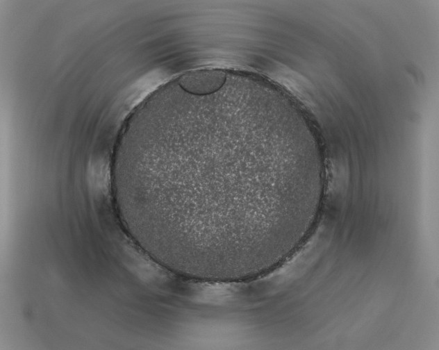 X0000113980969200910161619