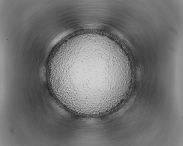 X0000113980970200910161619