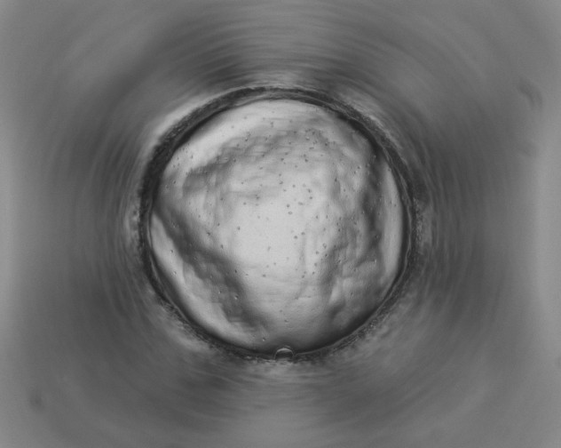 X0000113980971200910161619