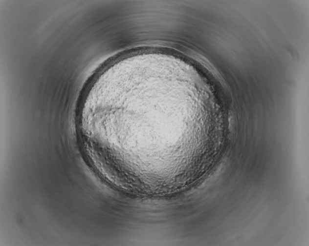 X0000113980972200910161619