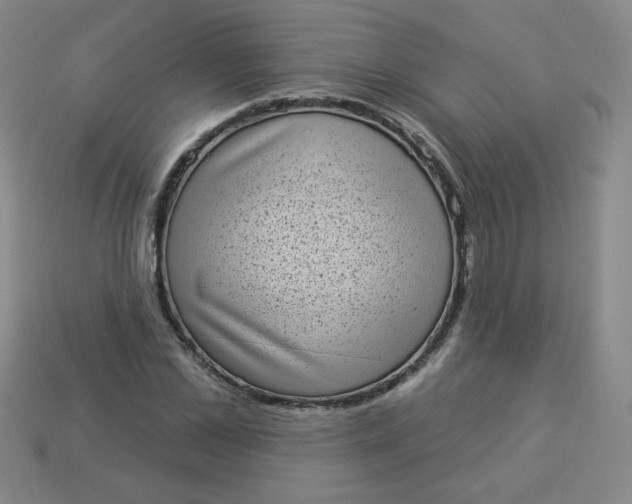 X0000113980973200910161619