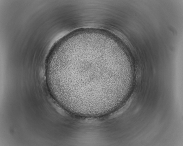 X0000113980974200910161619