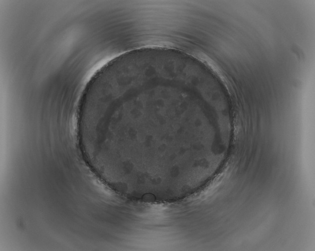 X0000113980975200910161619