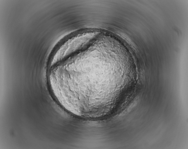 X0000113980976200910161619