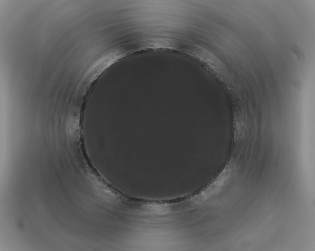 X0000113980977200910161619