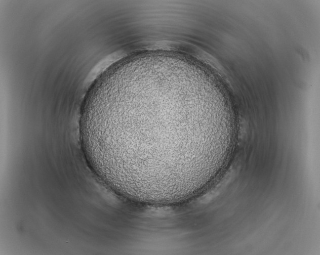 X0000113980978200910161619