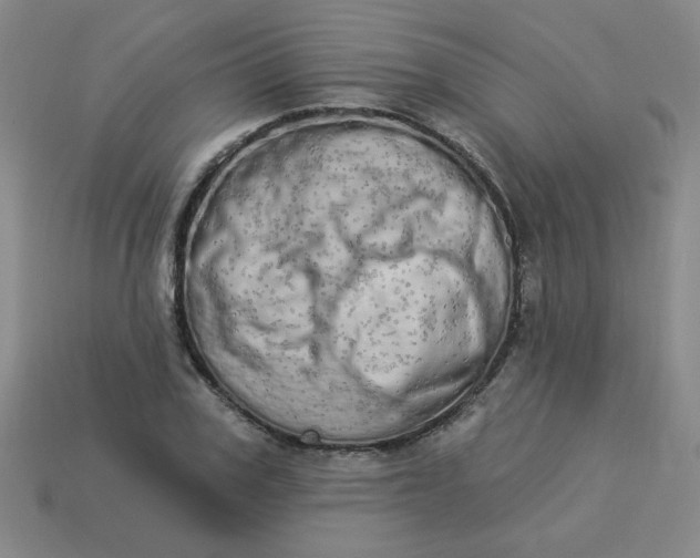 X0000113980979200910161619