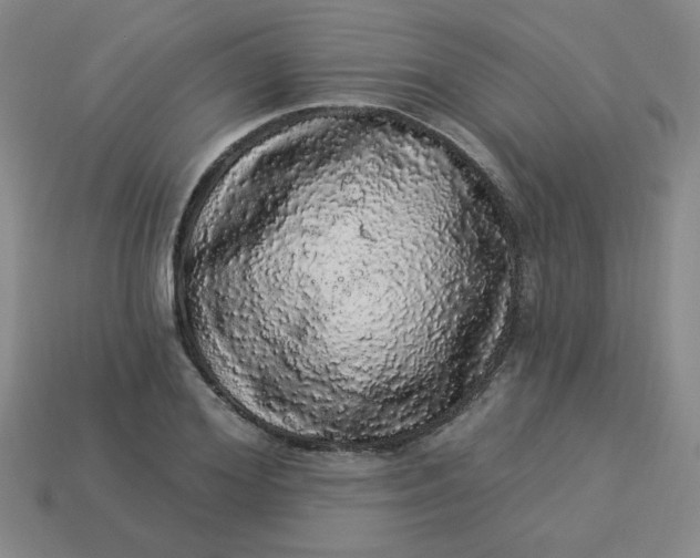 X0000113980980200910161619