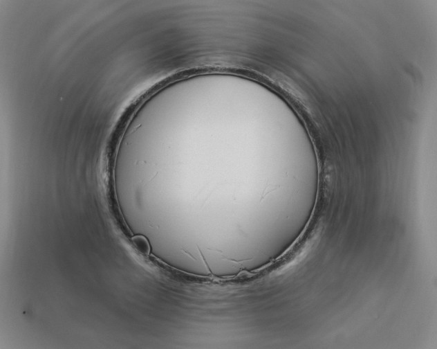 X0000113980981200910161619