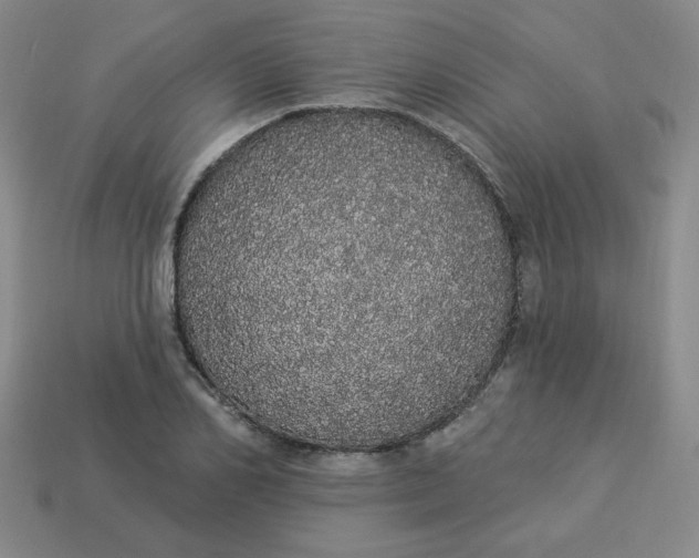 X0000113980982200910161619