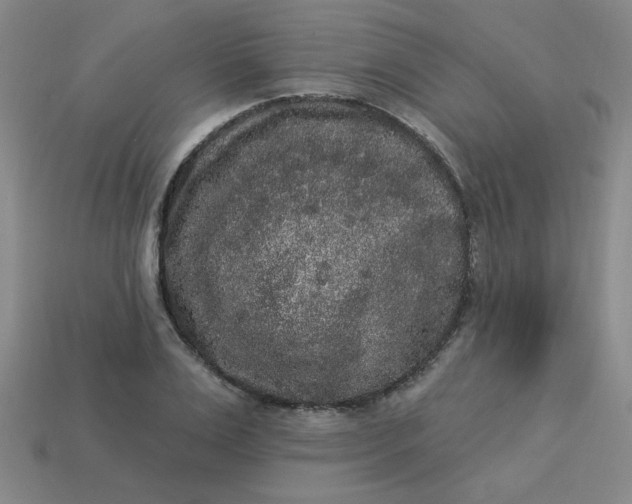 X0000113980983200910161619