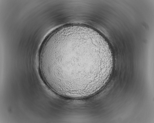 X0000113980984200910161619