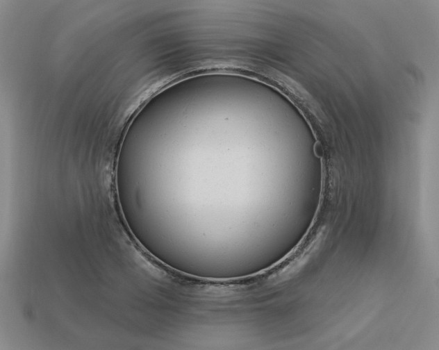 X0000113980985200910161619