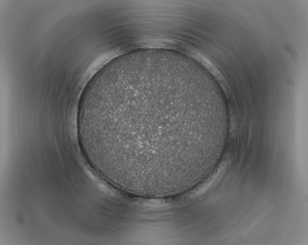 X0000113980986200910161619