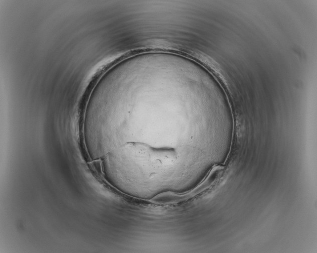 X0000113980987200910161618