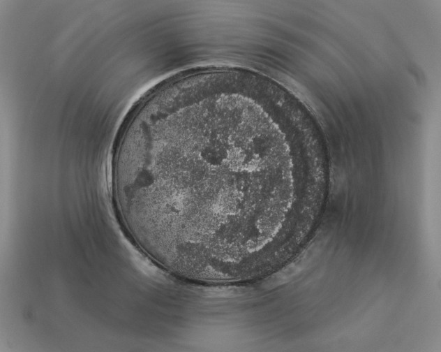 X0000113980988200910161618