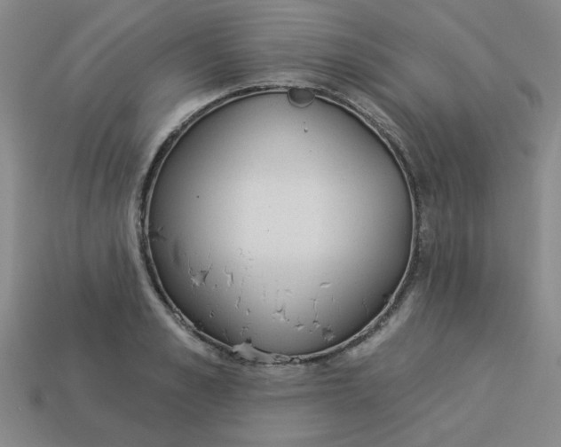 X0000113980989200910161618