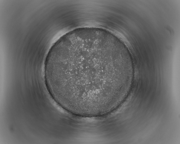 X0000113980990200910161618