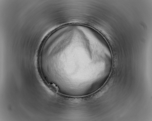 X0000113980991200910161618