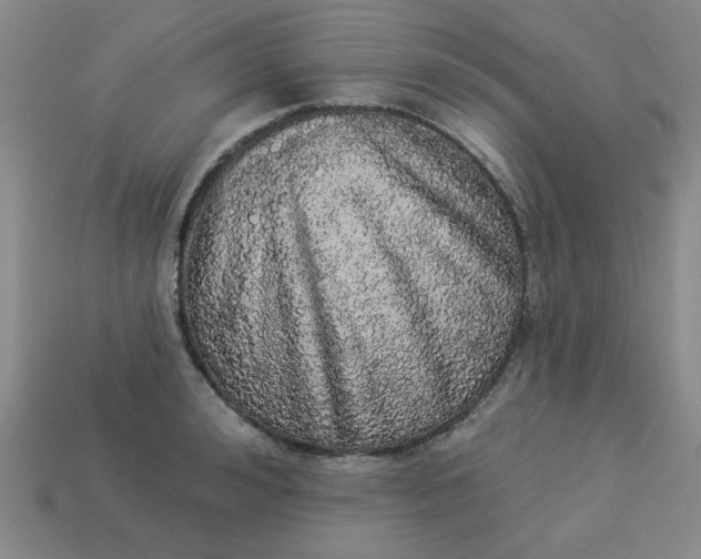 X0000113980992200910161618