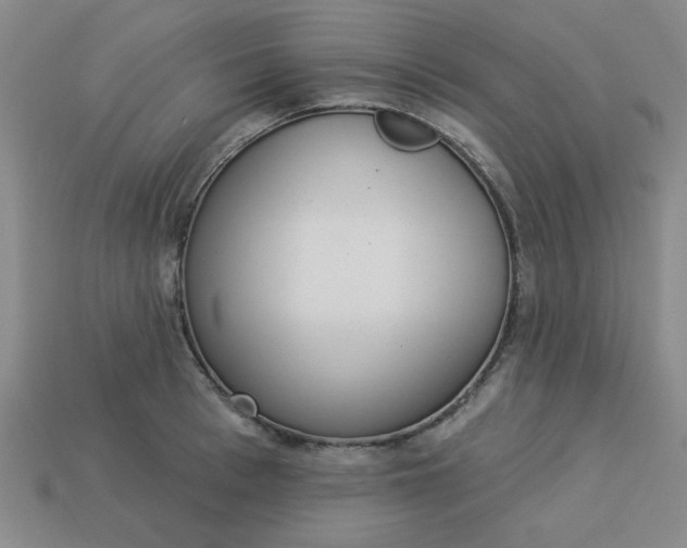 X0000113980993200910161618