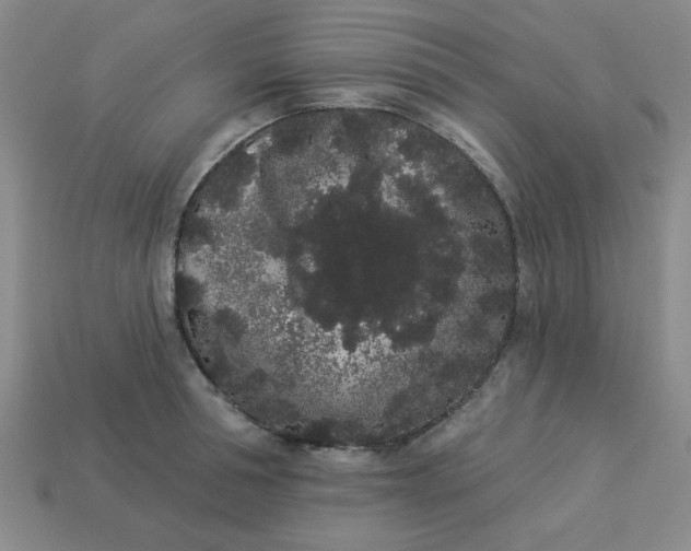 X0000113980994200910161618