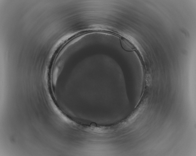 X0000113980995200910161618