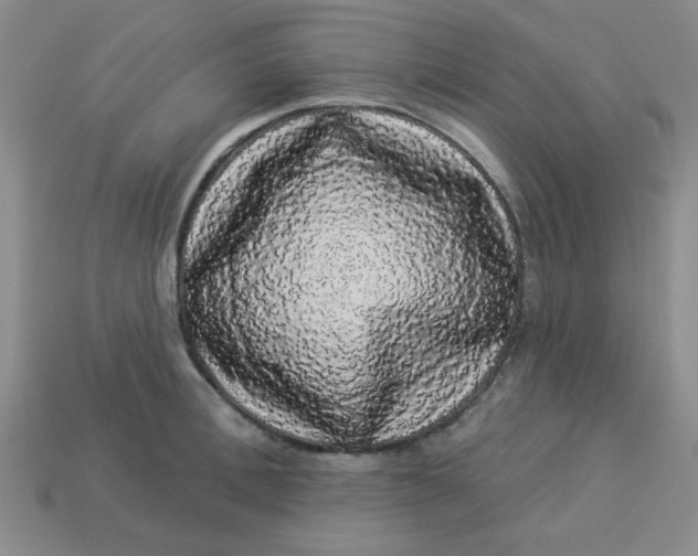 X0000113980996200910161618