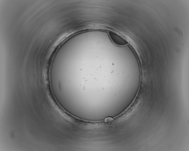 X0000113980997200910161618