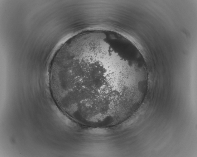 X0000113980998200910161618