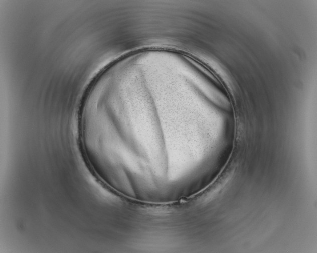 X0000113980999200910161618