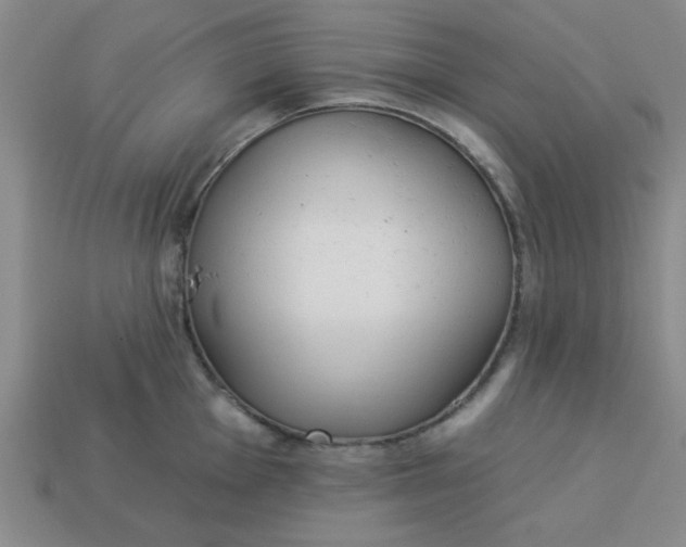 X0000113981001200910161618