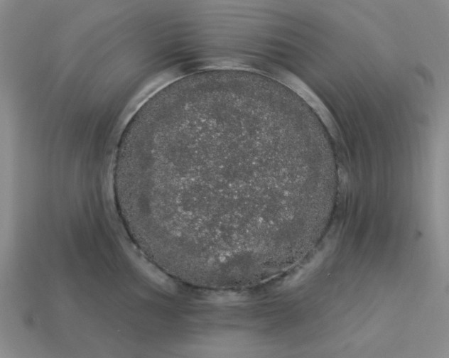 X0000113981002200910161618