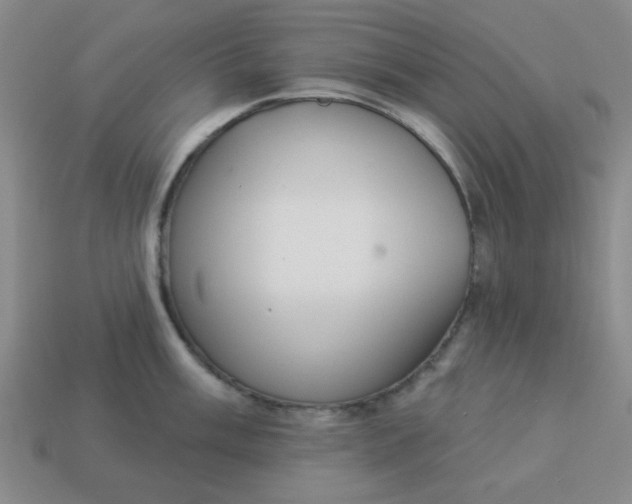 X0000113981003200910161618